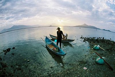 Boats in sea