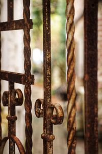 Rusty iron gate in charleston sc lowcountry