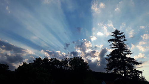 Low angle view of silhouette tree against sky