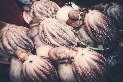 Full frame shot of onions for sale at market