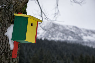 Close-up of birdhouse hanging on snow covered landscape