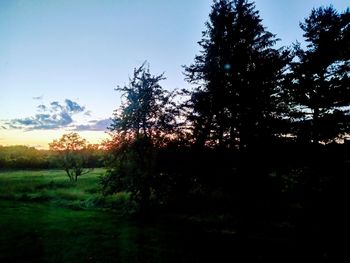 Silhouette of trees on field against sky at sunset