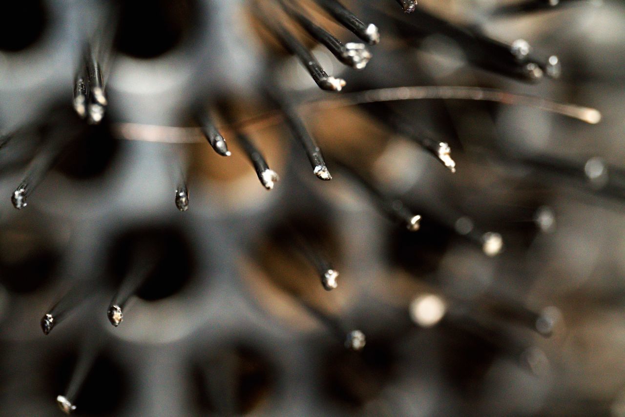 CLOSE-UP OF RAIN DROPS ON PLANT