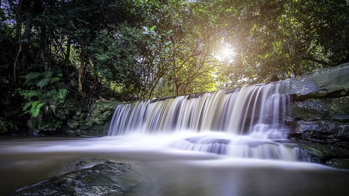 Low angle view of waterfall in forest