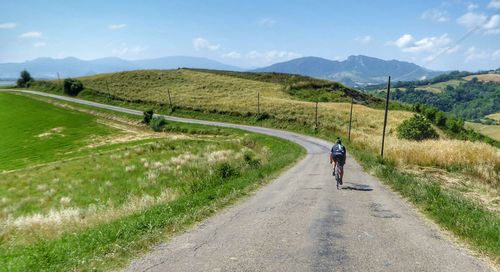 Rear view of person riding bicycle on road