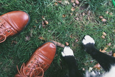 Low section of man and dog on grass