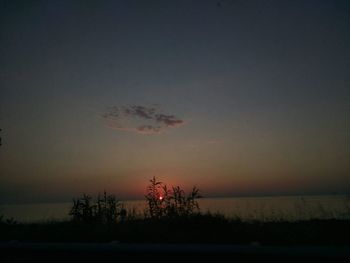 Silhouette trees against sky during sunset