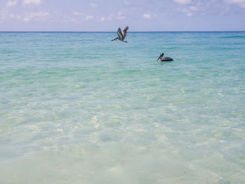 View of two people swimming in sea