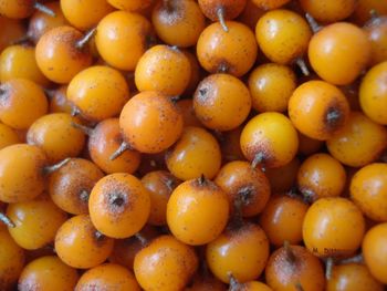 Full frame shot of oranges in market