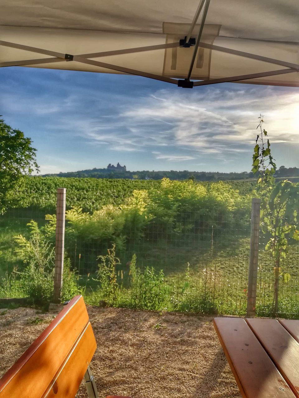 SCENIC VIEW OF FARM AGAINST SKY