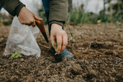 Low section of woman planting seedling outdoors