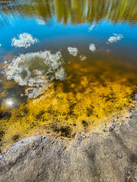 High angle view of rocks on beach