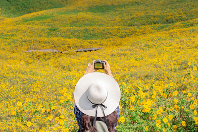 Rear view of person photographing on field