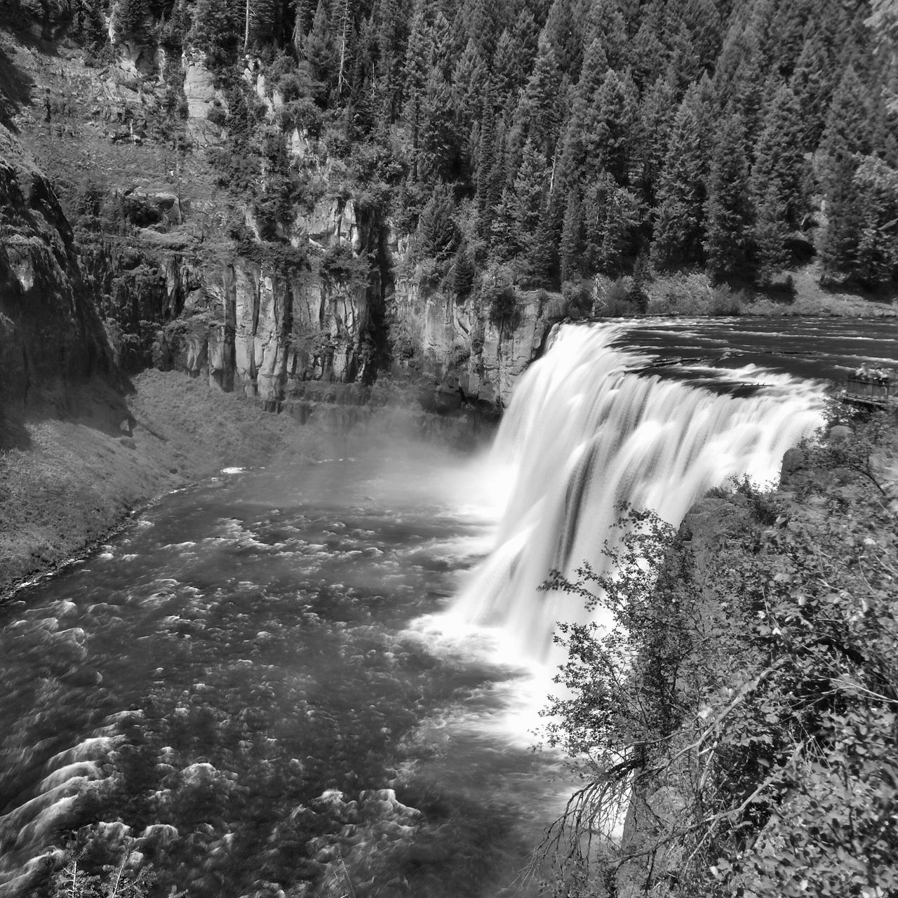 waterfall, water, motion, tree, flowing water, long exposure, flowing, scenics, beauty in nature, forest, nature, tranquility, tranquil scene, idyllic, blurred motion, environment, waterfront, outdoors, non-urban scene, no people