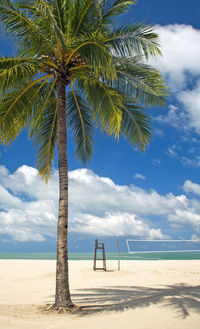 Palm trees on beach against sky with beach volleyball net