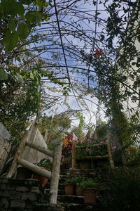 Low angle view of built structure against trees