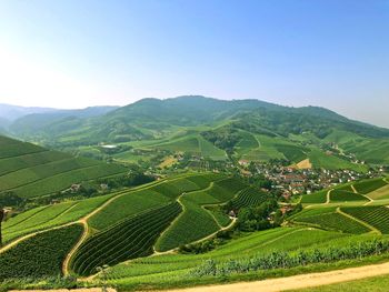 Scenic view of agricultural field against sky