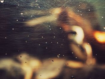 Close-up of jellyfish against sky at night