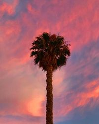 Low angle view of silhouette palm tree against romantic sky