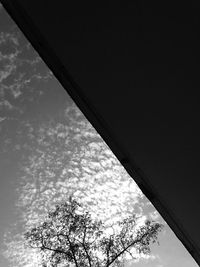 Low angle view of tree against sky