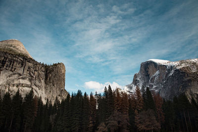 Panoramic view of pine trees and mountains against sky