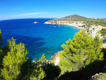 Bright colors of the wild nature of the bay of cala d'hort in ibiza in summer in balearic island