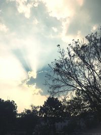 Low angle view of silhouette trees against sky