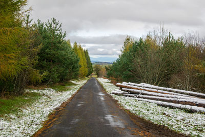 Road amidst trees against sky