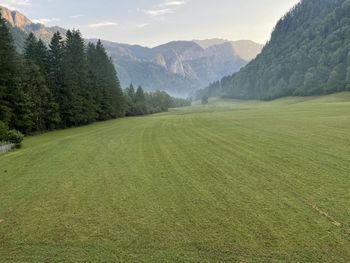 Scenic view of field against mountains