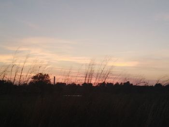 Silhouette trees on field against sky during sunset