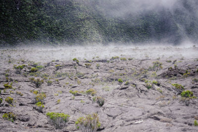 Scenic view of land