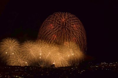 Firework display at night