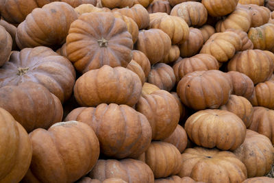Full frame shot of pumpkins