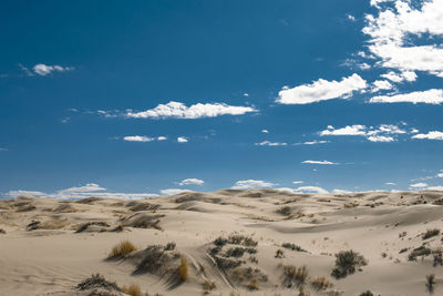 Scenic view of desert against sky