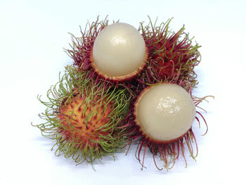 High angle view of fruit on white background