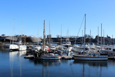 Sailboats moored in harbor