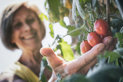 Midsection of woman holding tomato fruits