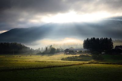 Scenic view of field against sky