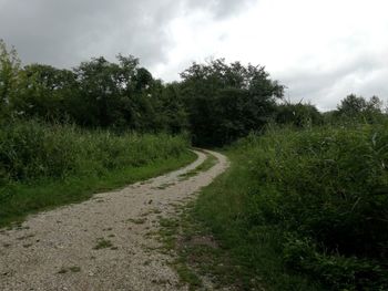 Road amidst plants and trees against sky