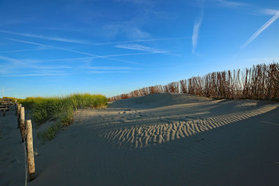 Scenic view of beach against blue sky