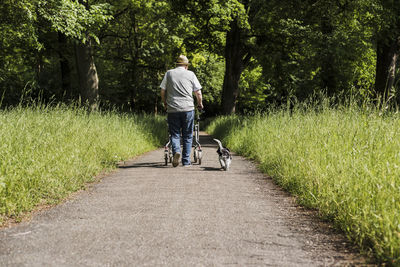 Back view of senior man strolling with wheeled walker and his dog in nature