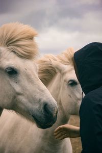 Man in hood standing by horses against sky