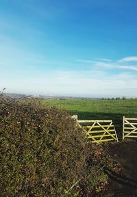 Agricultural field against sky