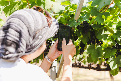 Midsection of woman holding plant