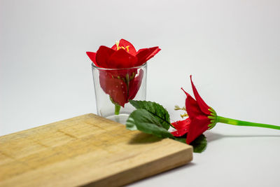 Close-up of red rose on table against white background