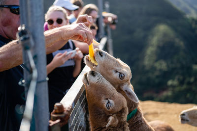 Close-up of hand eating outdoors