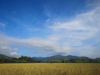 Scenic view of agricultural field against sky