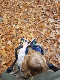 High angle view of girl sitting on autumn leaves