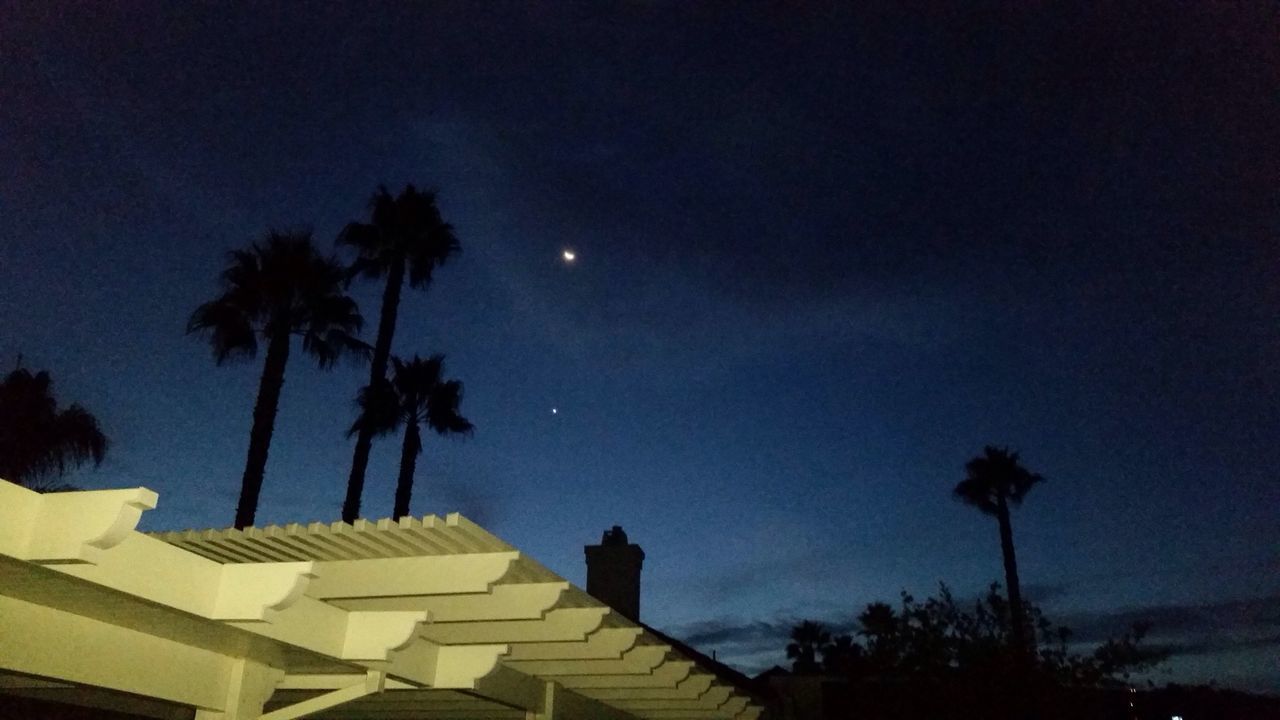 tree, palm tree, building exterior, built structure, architecture, low angle view, sky, silhouette, night, dusk, illuminated, growth, outdoors, nature, cloud - sky, no people, house, city, building, high section