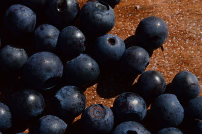 Blueberry ripe berries summer harvest on a wooden tray